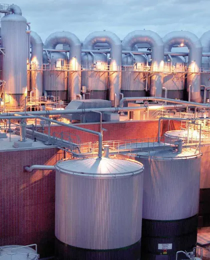 Petrochemical Industry