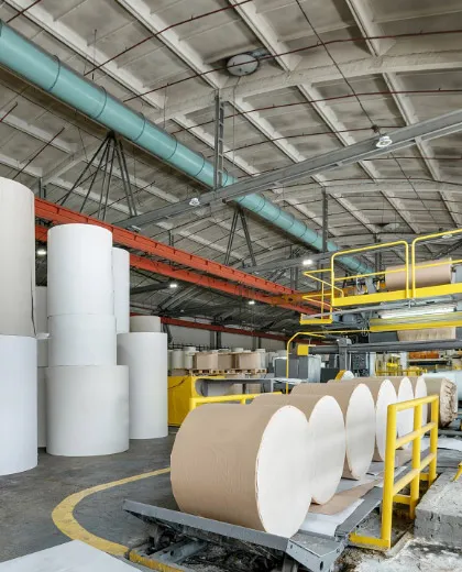 Pulp & Paper